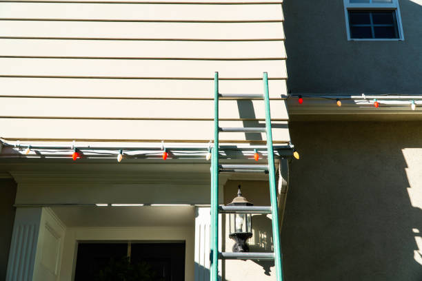 Best Custom Trim and Detailing for Siding  in Rotan, TX